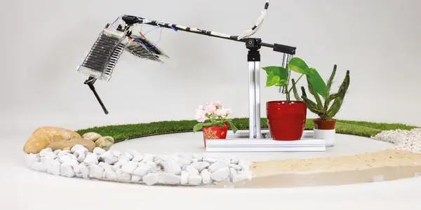 Featured Image
