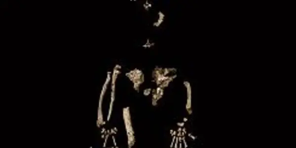 Humans Vs. Chimps -- Neither Is An Offshoot Of Ardipithecus Ramidus