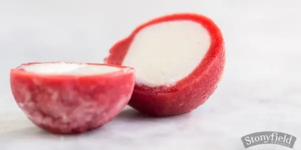 No More Plastic: Frozen Yogurt In An Edible Shell