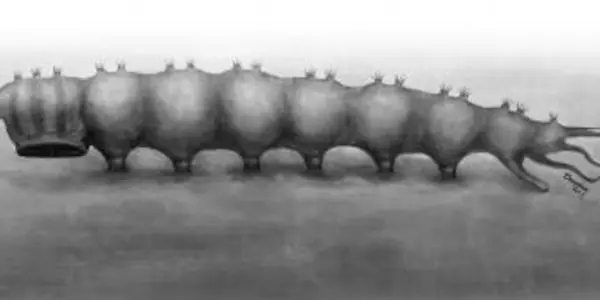 Qiyia Jurassica: Bizarre Parasite From The Jurassic Period