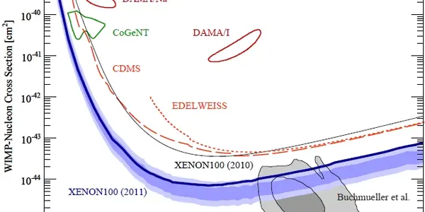 The New XENON 100 Results On Dark Matter