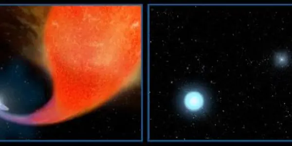 Alternative Stellar Lifestyle: Common, Curious, Solved At Last