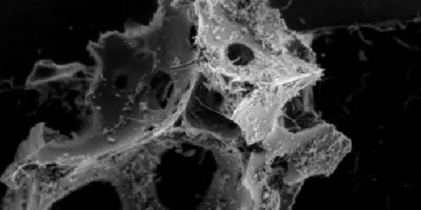 New Ceramic Firefighting Foam Becomes Stronger When Temperature Increases