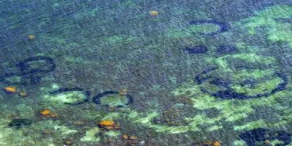 Mysterious Baltic Ocean Circles Explained