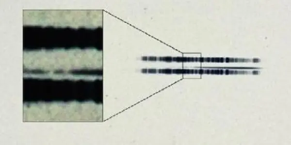 1917 Astronomical Plate Discovered To Be First-Ever Evidence Of Exoplanet System
