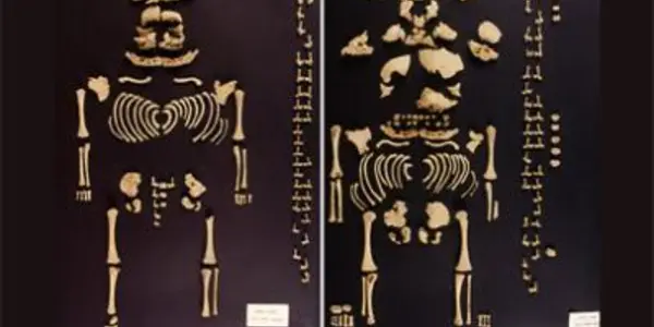 Prehistoric Iberian Twins Remains Discovered