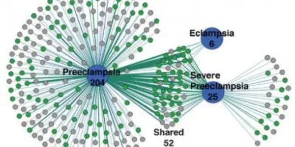 Study Finds Genetic Patterns In Preeclampsia