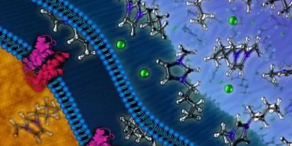 When It Comes To Genetically Modified Biofuels, Resistance Is Not Futile