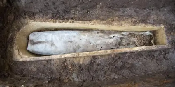 Coffin Within A Coffin Found At Richard III Burial Site
