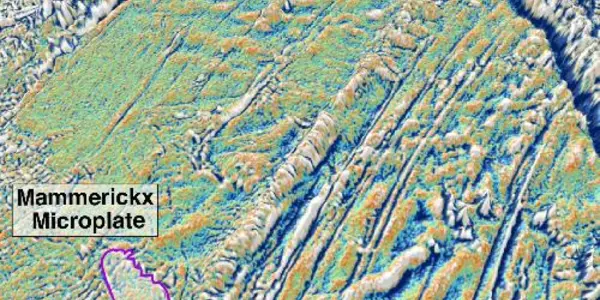 Microplate Discovery Dates Birth Of Himalayas