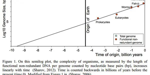 Moore’s Law, The Origin Of Life, And Dropping Turkeys Off A Building