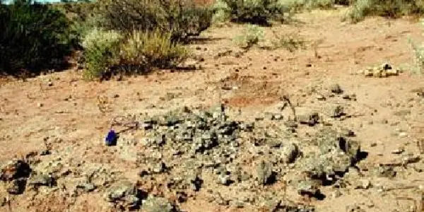 The 150 Year-Old Dinosaur Temperature Debate