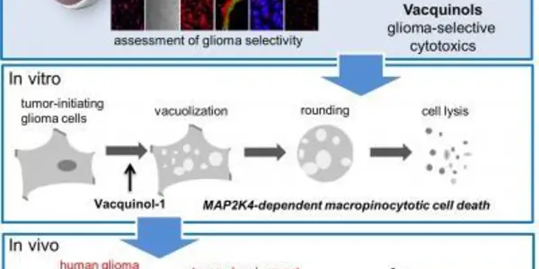 New Approach Makes Cancer Cells Explode