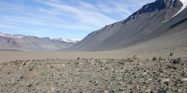 Life On the Edge In Cold Dry Deserts Of Mars -  Dust Storms, And Contamination By Microbes From Leaky Spacesuits