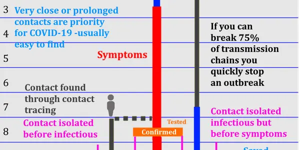 What Is Contact Tracing And Why Is It So Effective At Stopping COVID-19?