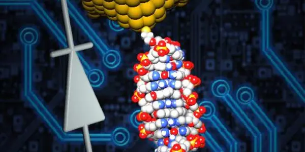 World's Smallest Diode Created, Using A Single Molecule Of DNA