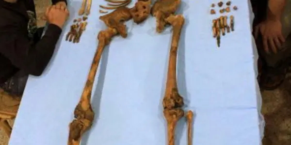 Woseribre Senebkay And The Tomb Of The Unknown Pharaoh