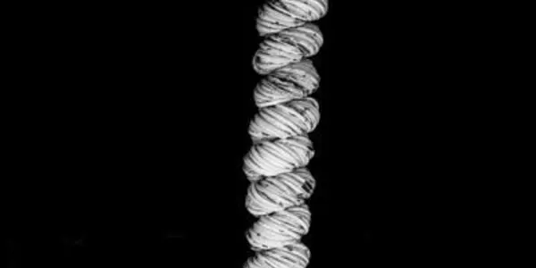 Fishing Line And Thread Turned Into Artificial Muscle