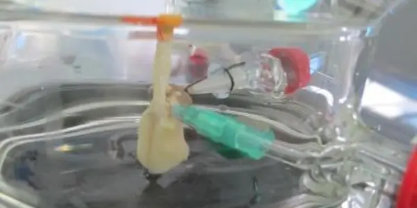 Mini Artificial Lung Is The Size Of A Sugar Cube