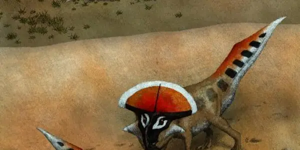 First Demonstration Of Sexual Selection In Dinosaurs Identified