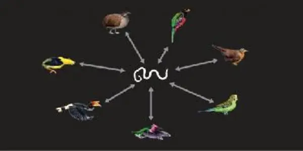 Bird Genomes Contain 'fossils' Of Parasites That Now Infect Humans