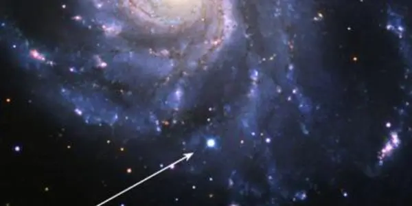 Unusual Supernova SN 2011fe - Move Along, Nothing To See Here