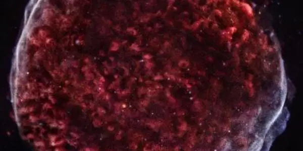 Long Observation - Supernova SN 1006 Gets A New X-Ray View A Thousand Years After First Sighting