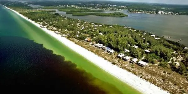 Ocean Current In Gulf Of Mexico Linked To Red Tide