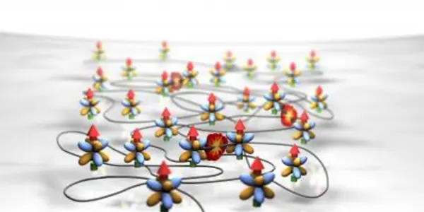 Quantum Chaos In Ultracold Gas Discovered