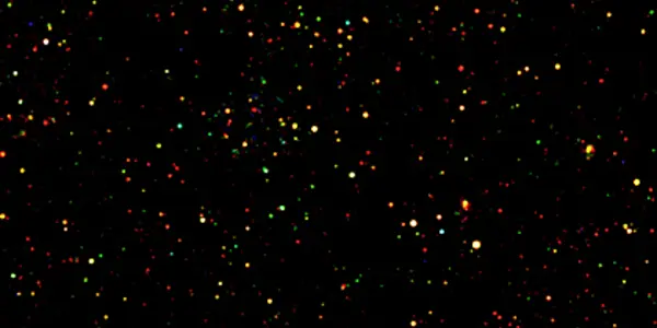 Bootes Field:  New Panorama Reveals More Than a Thousand Black Holes