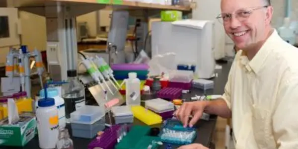 Molecules Assemble In Water - A Hint About The Origins Of Life?