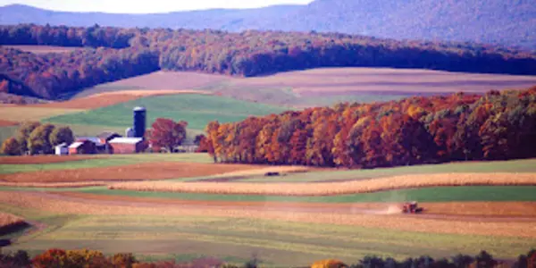 Six Reasons Organic Is NOT The Most Environmentally Friendly Way To Farm