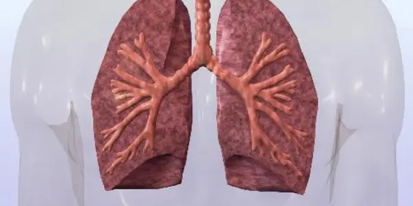 High-volume Lung Transplant Centers Have Lower Costs And Readmissions