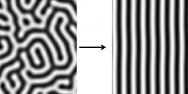 A Mathematical Model For Animal Stripes