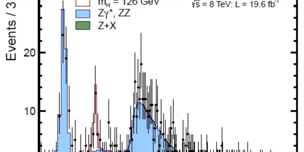 The Higgs Lottery