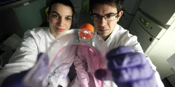 Mitochondria Shown To Trigger Cell Aging