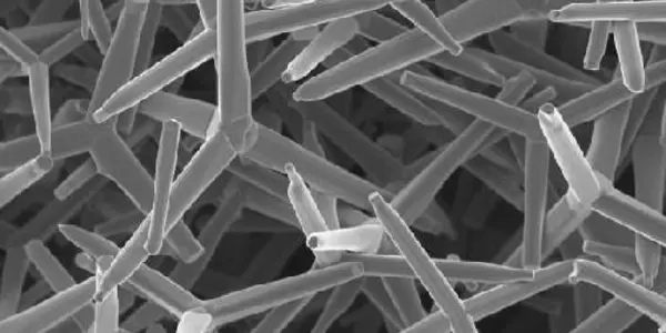 Nanoparticles Hold Promise As Double-edged Sword Against Genital Herpes