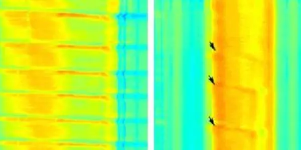 GI Problems In Autism May Originate In Genes, Study Suggests
