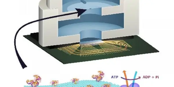 Biologically Powered Chip Built, Runs Using Cellular ATP