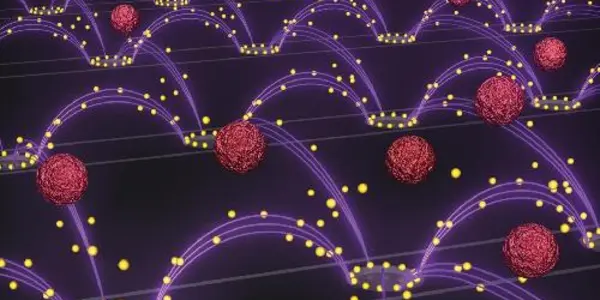 Electric Fields Remove Nanoparticles From Blood
