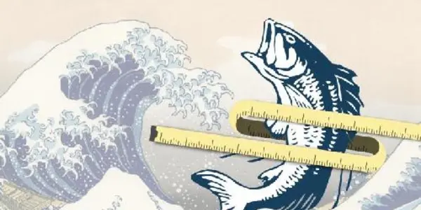 Fish Oil Helps Transform Fat Cells From Storage To Burning