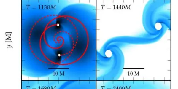 Collapsing Star Thunderdome: 2 Black Holes Enter, 1 Black Hole Leaves