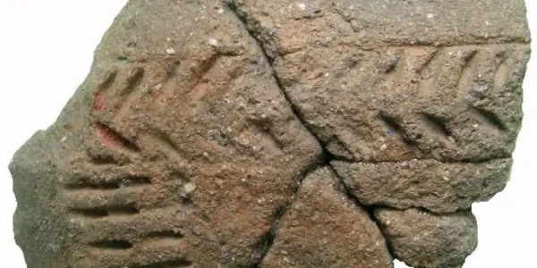 Human Have Been Using Beeswax For 8,000 Years