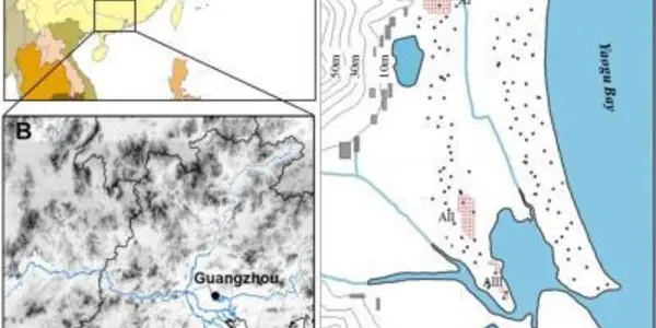 Agriculture May Have Been In Xincun China 5,000 Years Ago