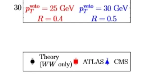 The SUSY-Inspiring LHC  WW Excess May Be Due To Theoretical Errors