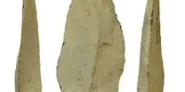 Efficient Hunting Gets More Ancient: Stone-Tipped Weapons Were Used 500,000 Years Ago