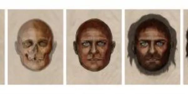 Ancient Northern Europeans Looked More Like Vanessa Williams Than Aryan Supermen