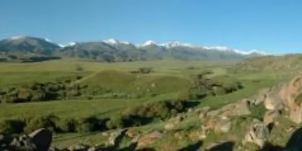 Earliest Domestic Grains Along Silk Road Spread By Ancient Nomads