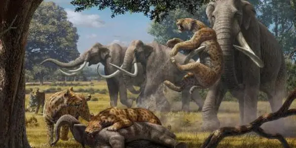 How To Keep Massive Herbivores In Check - Hypercarnivores