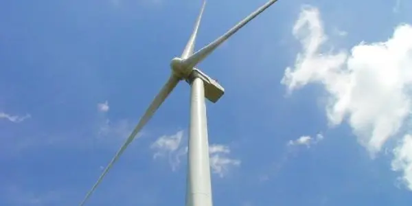 Chemical Fingerprints Implicate Wind Turbines Killing Bats